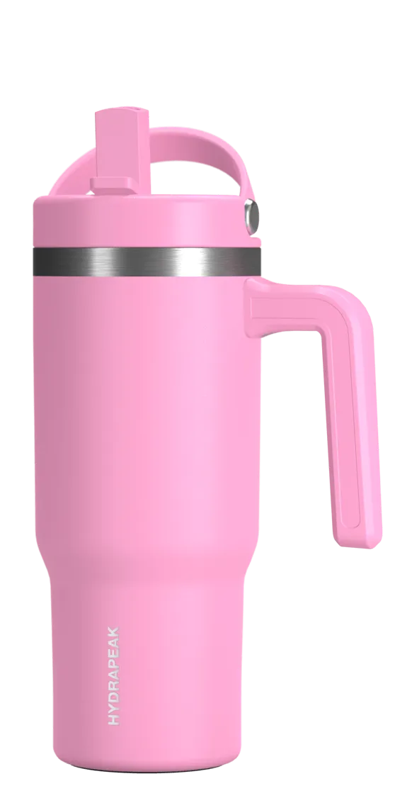 18oz Voyager Kid's With Handle and Straw Lid