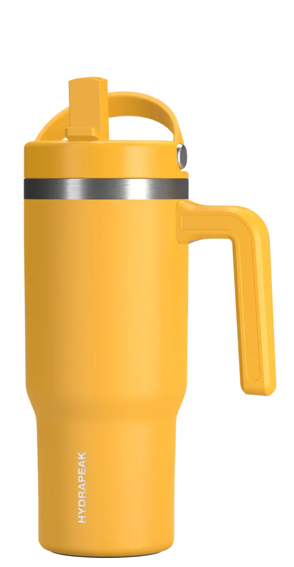 18oz Voyager Kid's With Handle and Straw Lid