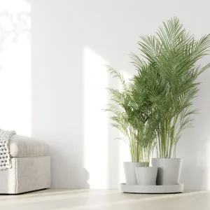 Ecopots Dubai Pure White