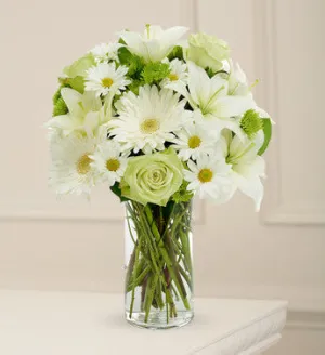 Elegance and Tranquility