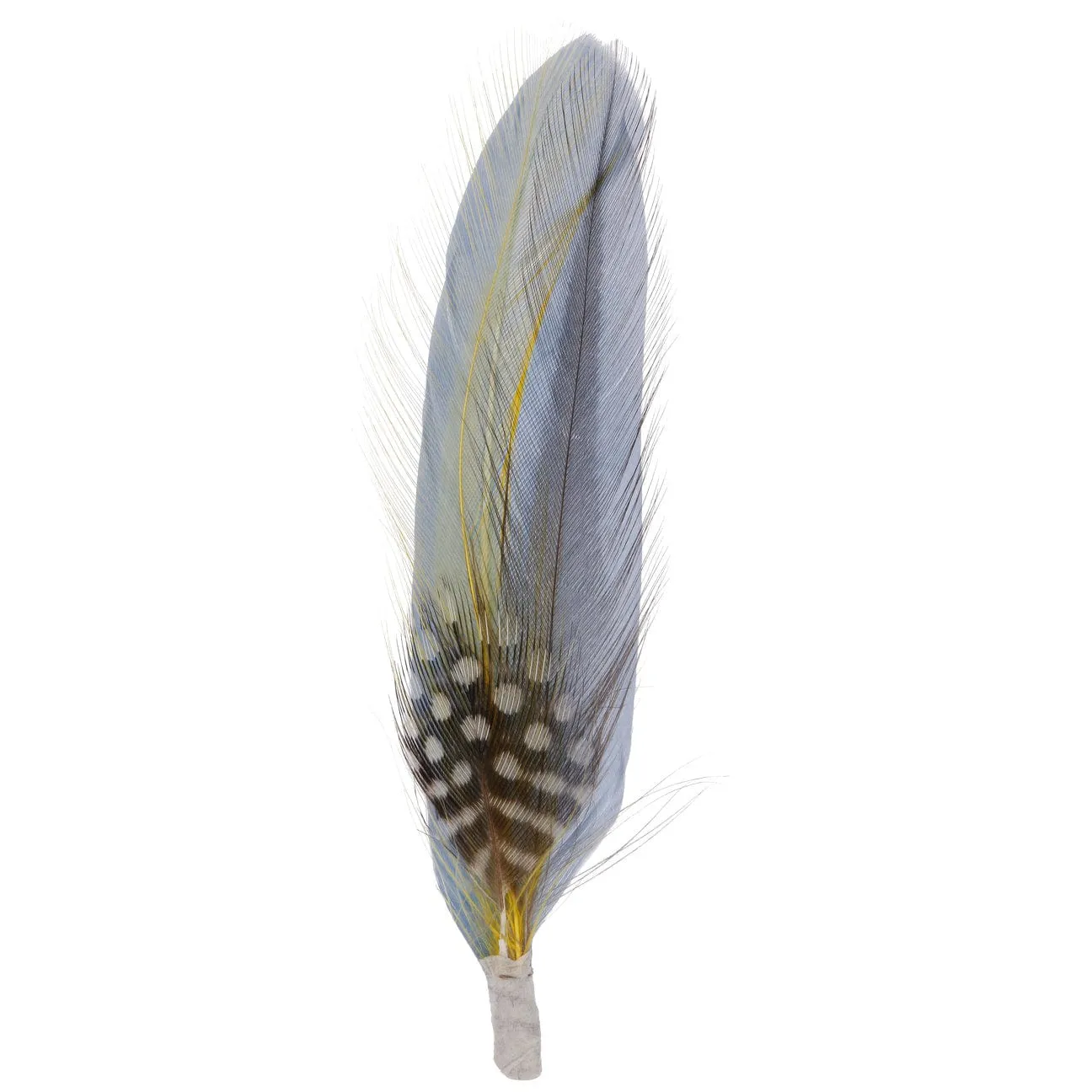 Feather by Stetson